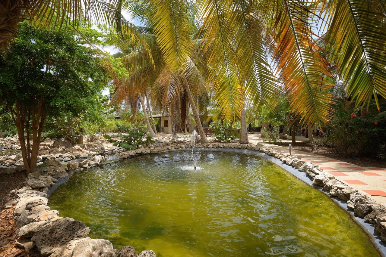 Captain Don'S Habitat Playa Exterior foto